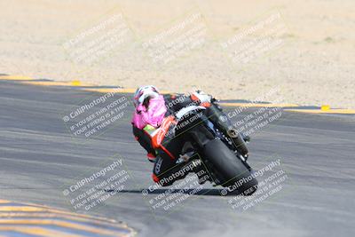 media/Mar-10-2024-SoCal Trackdays (Sun) [[6228d7c590]]/9-Turn 8 Backside (1150am)/